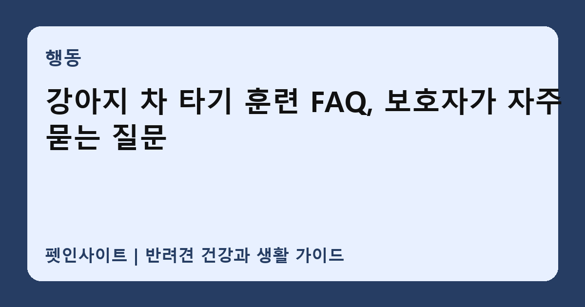 강아지 차 타기 훈련 FAQ, 보호자가 자주 묻는 질문 썸네일