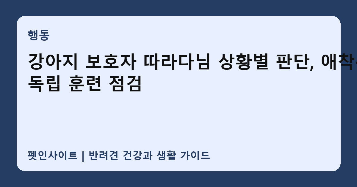 강아지 보호자 따라다님 상황별 판단, 애착·독립 훈련 점검 썸네일