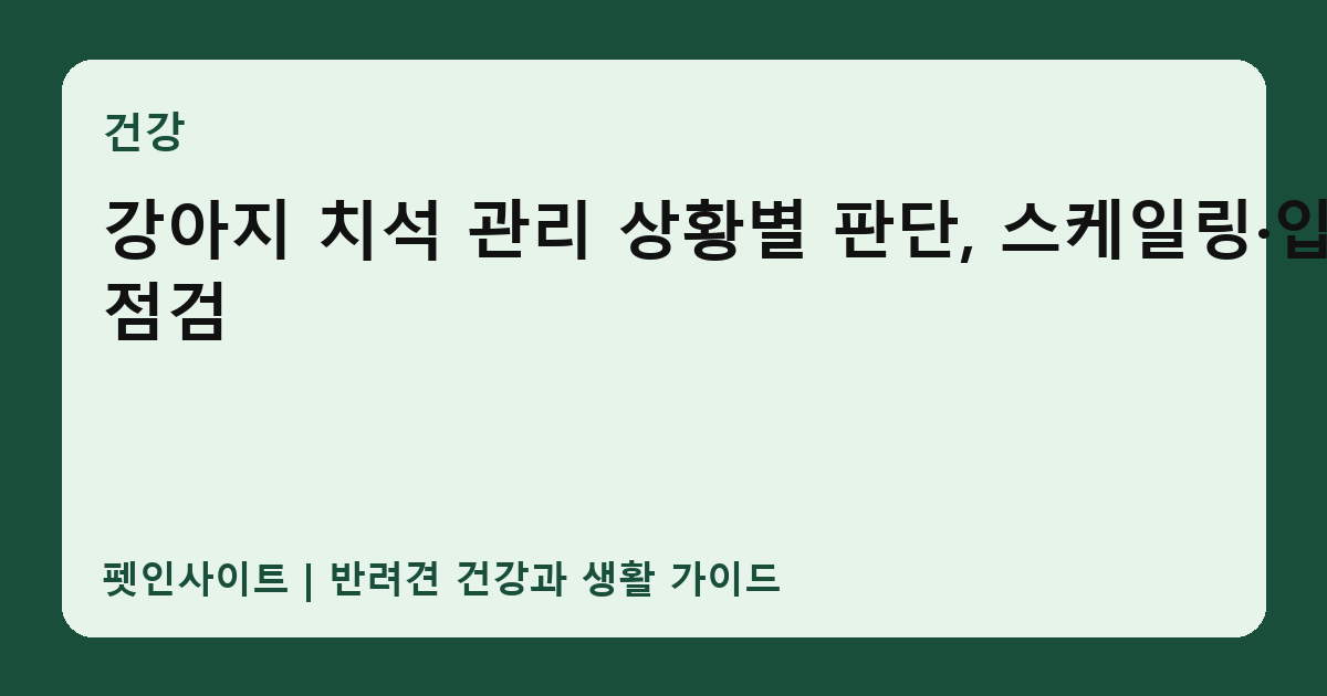 강아지 치석 관리 상황별 판단, 스케일링·입냄새 점검 썸네일