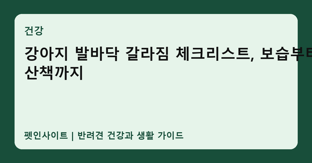 강아지 발바닥 갈라짐 체크리스트, 보습부터 산책까지 썸네일