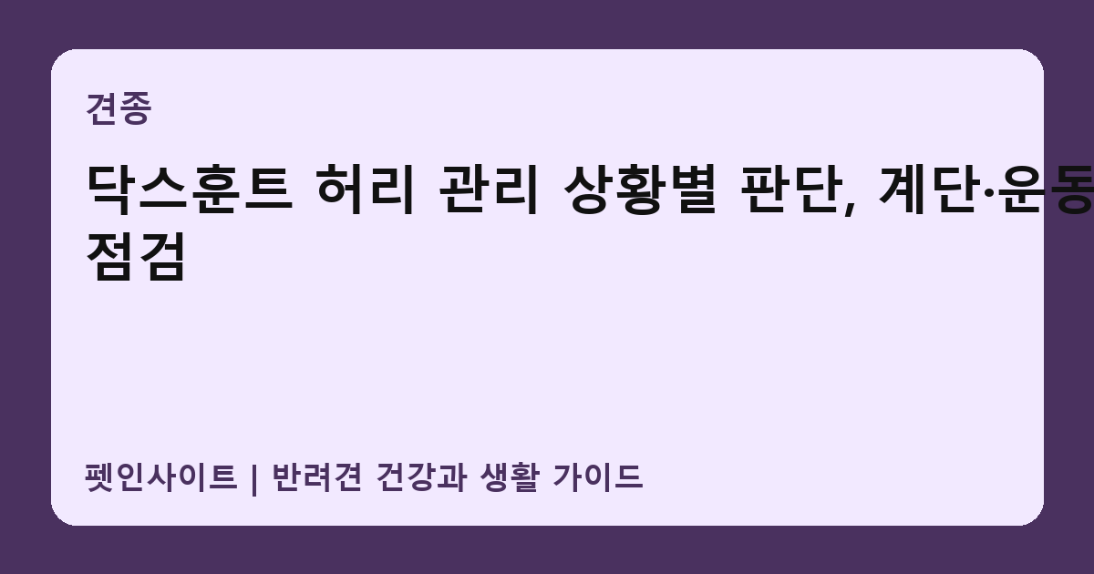닥스훈트 허리 관리 상황별 판단, 계단·운동 점검 썸네일