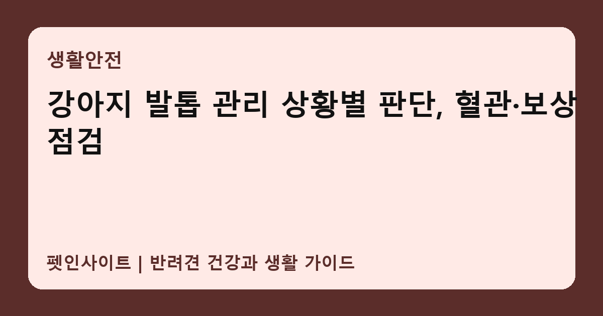 강아지 발톱 관리 상황별 판단, 혈관·보상 점검 썸네일