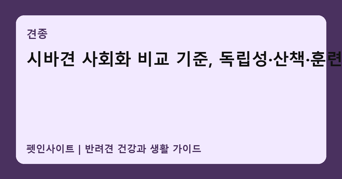 시바견 사회화 비교 기준, 독립성·산책·훈련 썸네일
