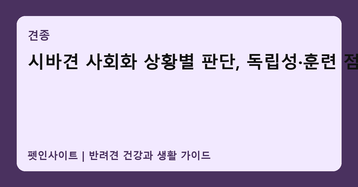 시바견 사회화 상황별 판단, 독립성·훈련 점검 썸네일
