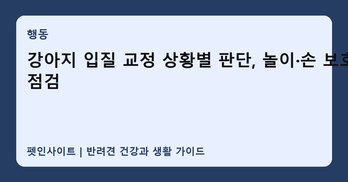 강아지 입질 교정 상황별 판단, 놀이·손 보호 점검 썸네일