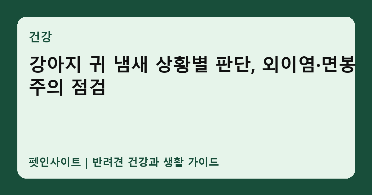 강아지 귀 냄새 상황별 판단, 외이염·면봉 주의 점검 썸네일
