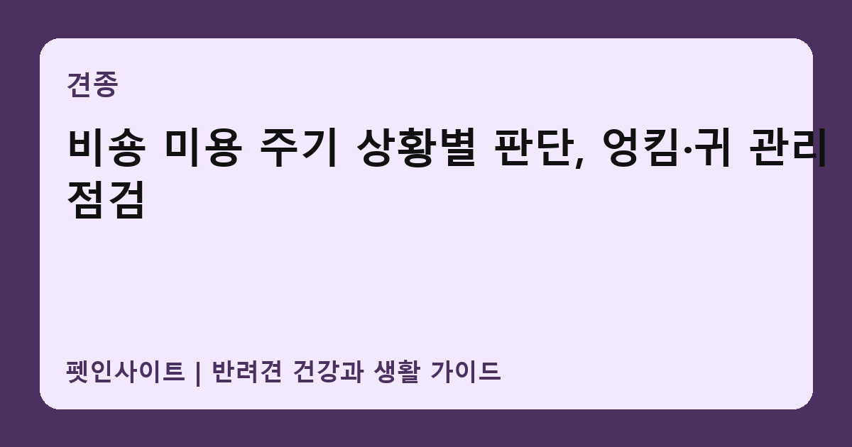 비숑 미용 주기 상황별 판단, 엉킴·귀 관리 점검 썸네일