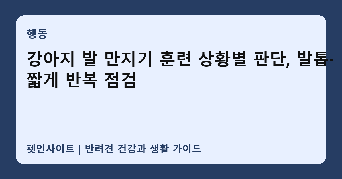 강아지 발 만지기 훈련 상황별 판단, 발톱·짧게 반복 점검 썸네일