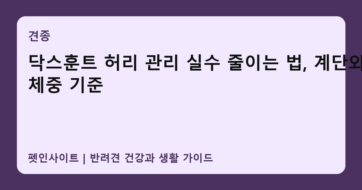 닥스훈트 허리 관리 실수 줄이는 법, 계단와 체중 기준 썸네일
