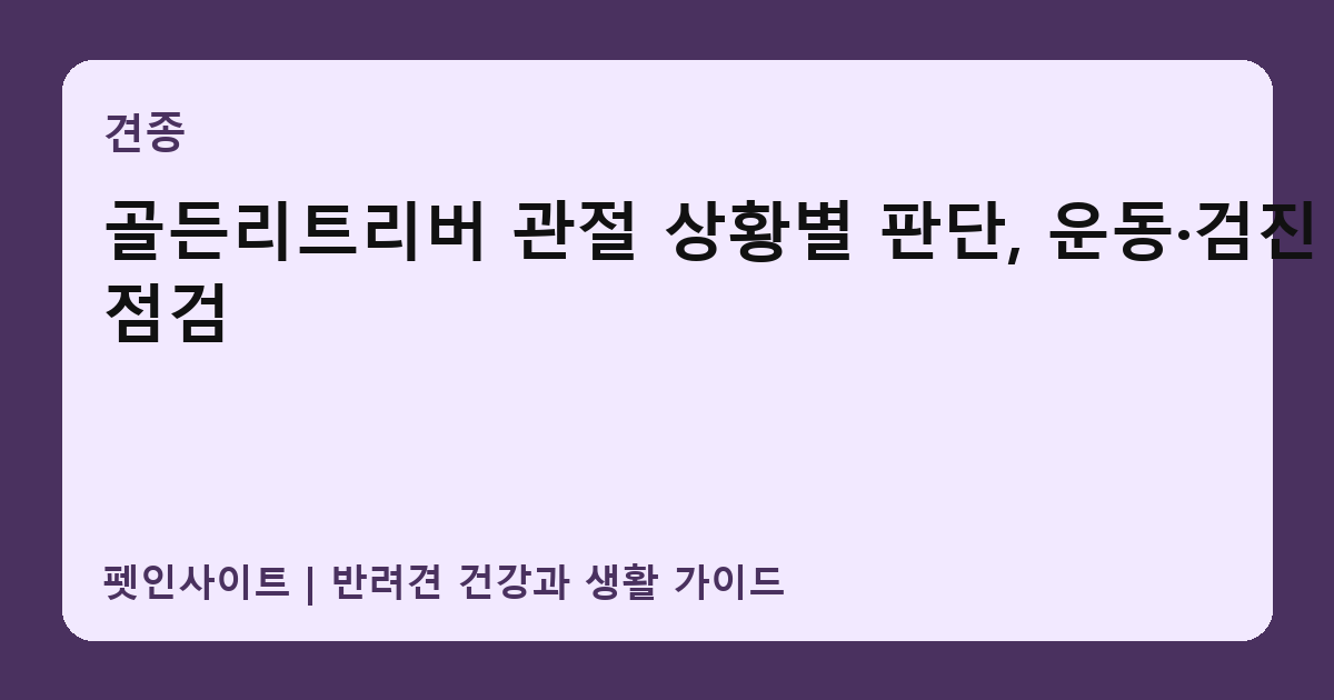 골든리트리버 관절 상황별 판단, 운동·검진 점검 썸네일