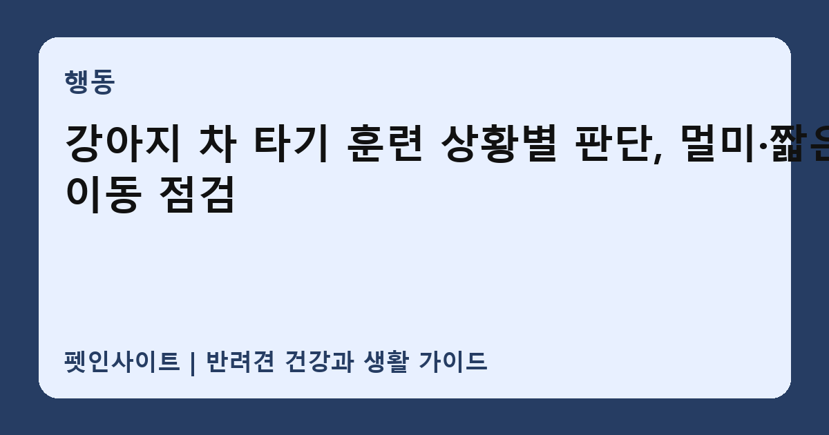 강아지 차 타기 훈련 상황별 판단, 멀미·짧은 이동 점검 썸네일