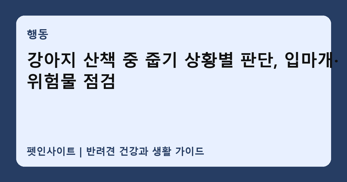 강아지 산책 중 줍기 상황별 판단, 입마개·위험물 점검 썸네일
