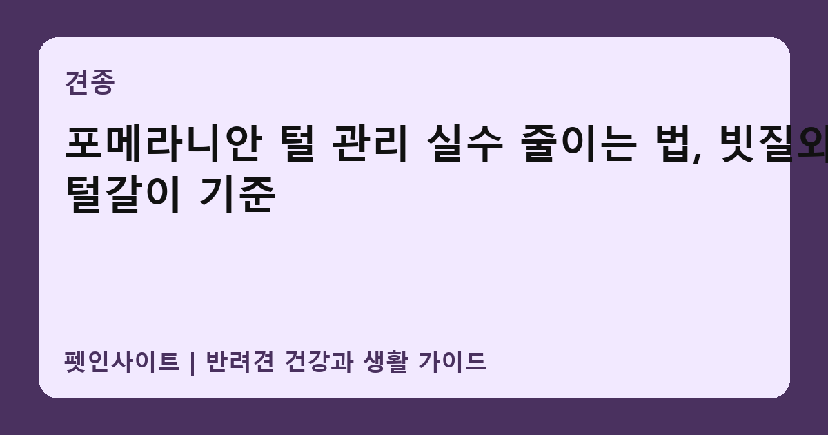 포메라니안 털 관리 실수 줄이는 법, 빗질와 털갈이 기준 썸네일