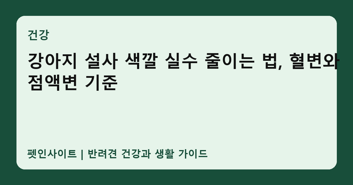 강아지 설사 색깔 실수 줄이는 법, 혈변와 점액변 기준 썸네일