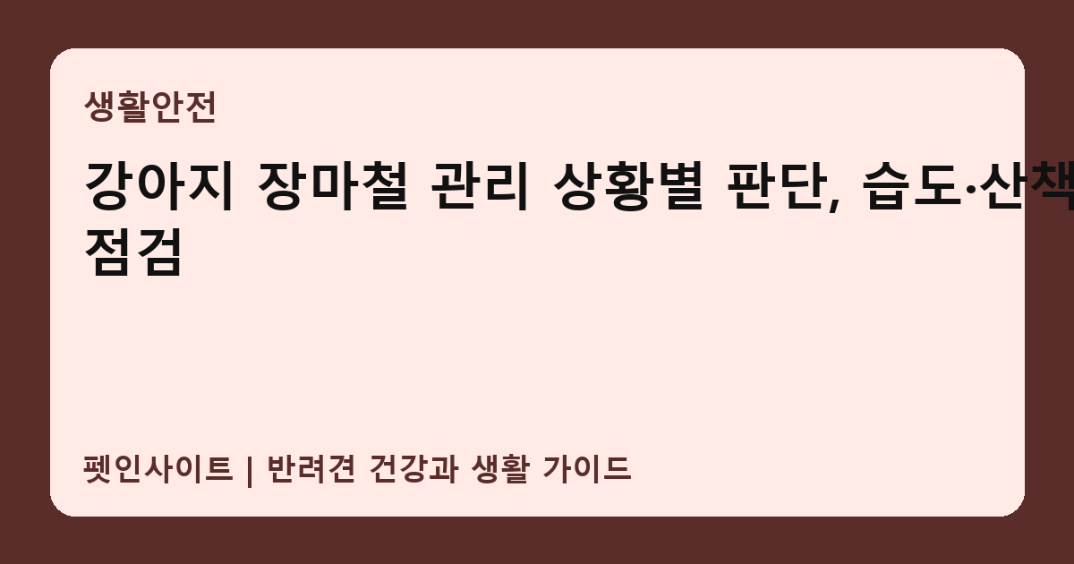 강아지 장마철 관리 상황별 판단, 습도·산책 점검 썸네일
