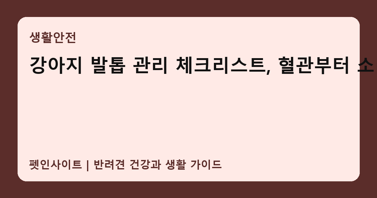 강아지 발톱 관리 체크리스트, 혈관부터 소리까지 썸네일