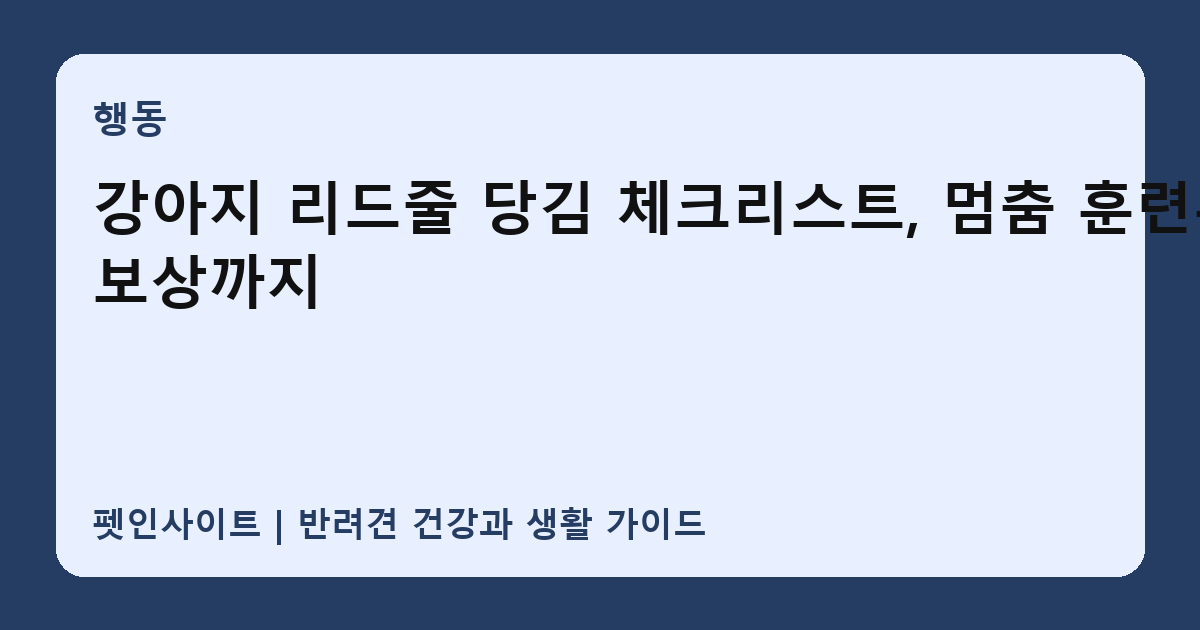 강아지 리드줄 당김 체크리스트, 멈춤 훈련부터 보상까지 썸네일