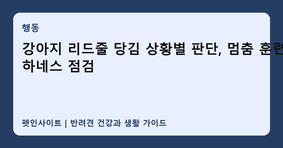 강아지 리드줄 당김 상황별 판단, 멈춤 훈련·하네스 점검 썸네일
