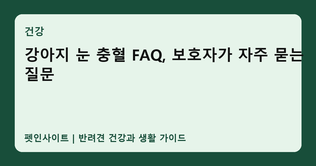 강아지 눈 충혈 FAQ, 보호자가 자주 묻는 질문 썸네일