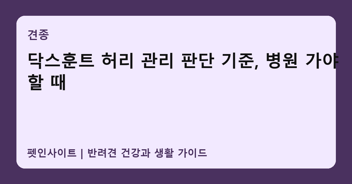 닥스훈트 허리 관리 판단 기준, 병원 가야 할 때 썸네일