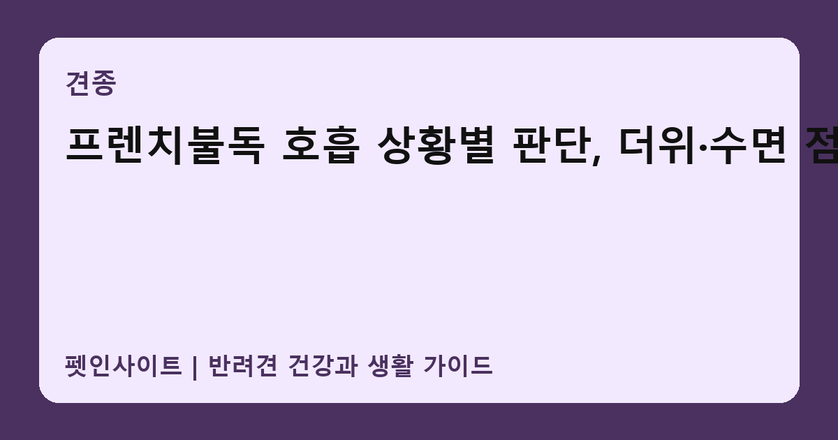 프렌치불독 호흡 상황별 판단, 더위·수면 점검 썸네일