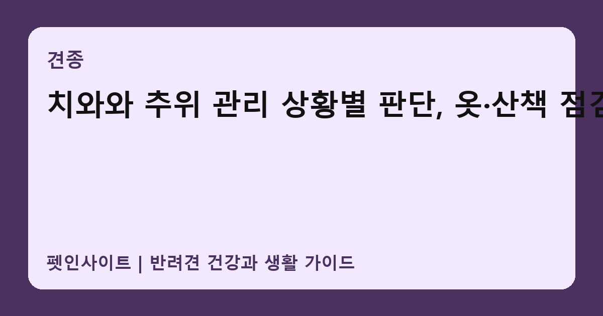 치와와 추위 관리 상황별 판단, 옷·산책 점검 썸네일