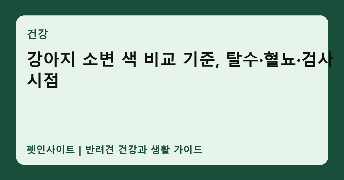 강아지 소변 색 비교 기준, 탈수·혈뇨·검사 시점 썸네일