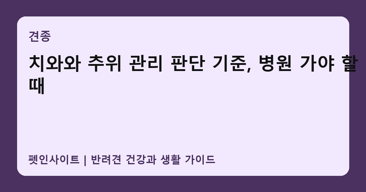 치와와 추위 관리 판단 기준, 병원 가야 할 때 썸네일