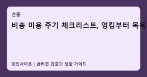 비숑 미용 주기 체크리스트, 엉킴부터 목욕까지 썸네일