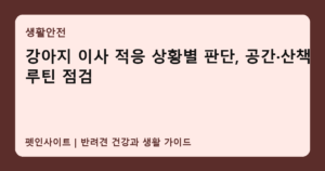 강아지 이사 적응 상황별 판단, 공간·산책 루틴 점검 썸네일