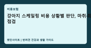 강아지 스케일링 비용 상황별 판단, 마취·회복 점검 썸네일