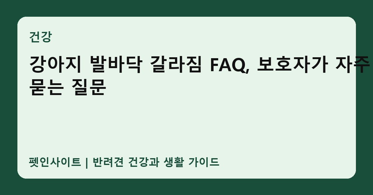 강아지 발바닥 갈라짐 FAQ, 보호자가 자주 묻는 질문 썸네일
