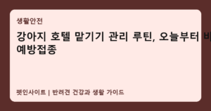 강아지 호텔 맡기기 관리 루틴, 오늘부터 바꿀 예방접종 썸네일