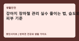 강아지 장마철 관리 실수 줄이는 법, 습도와 피부 기준 썸네일