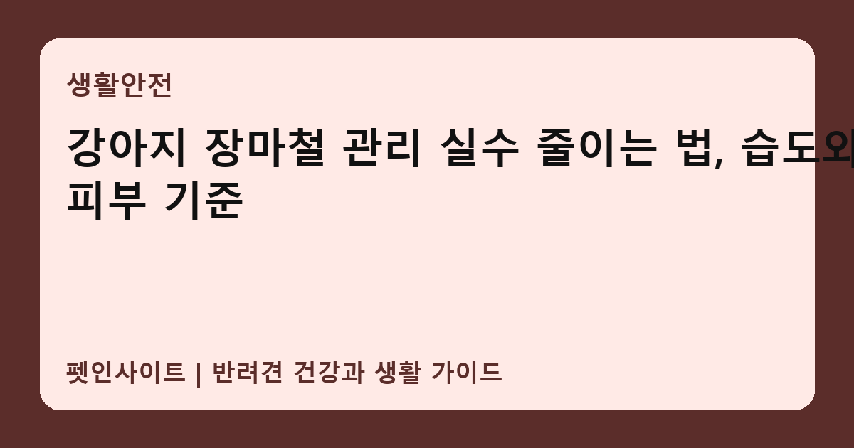 강아지 장마철 관리 실수 줄이는 법, 습도와 피부 기준 썸네일