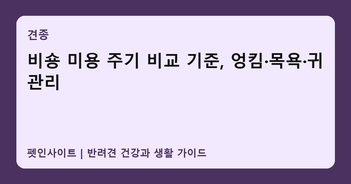 비숑 미용 주기 비교 기준, 엉킴·목욕·귀 관리 썸네일
