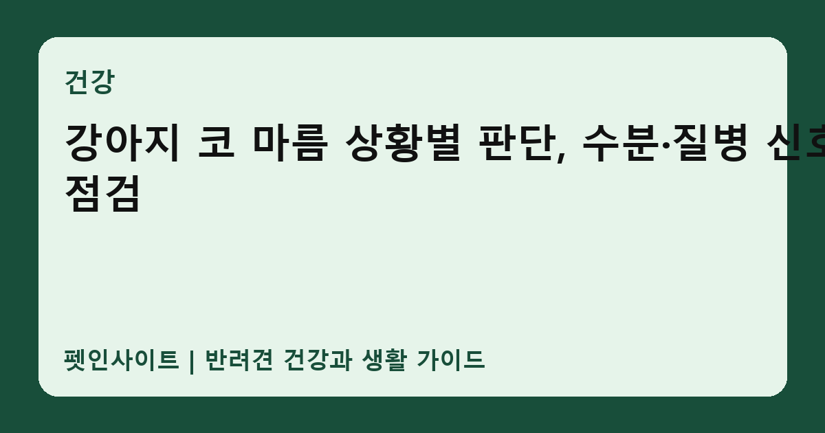 강아지 코 마름 상황별 판단, 수분·질병 신호 점검 썸네일
