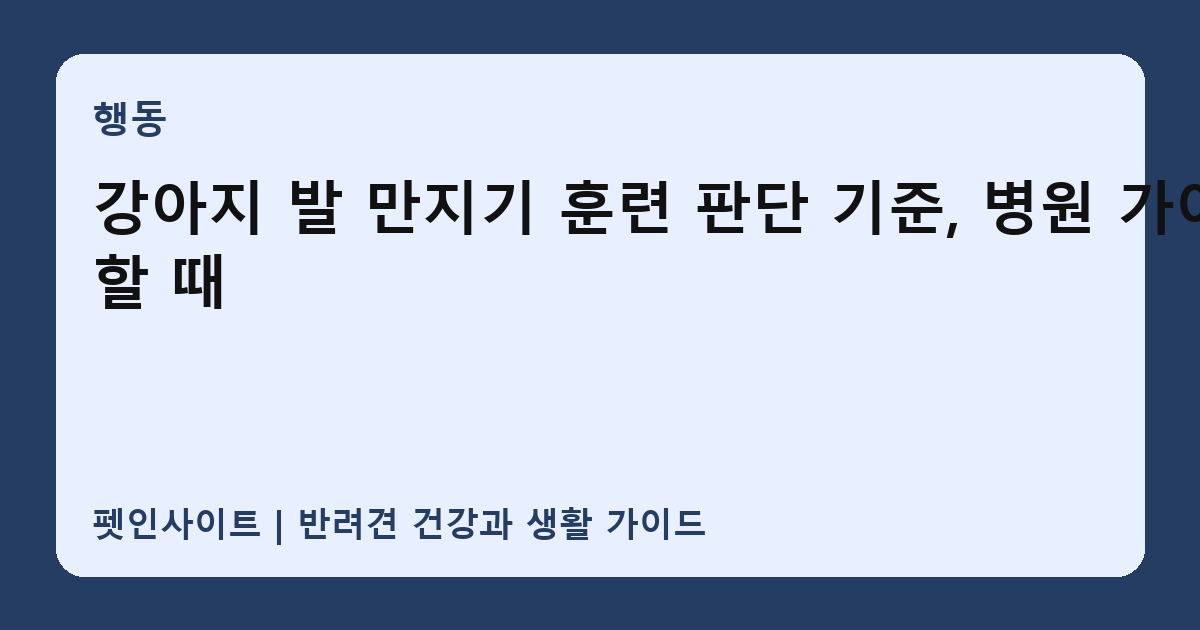 강아지 발 만지기 훈련 판단 기준, 병원 가야 할 때 썸네일