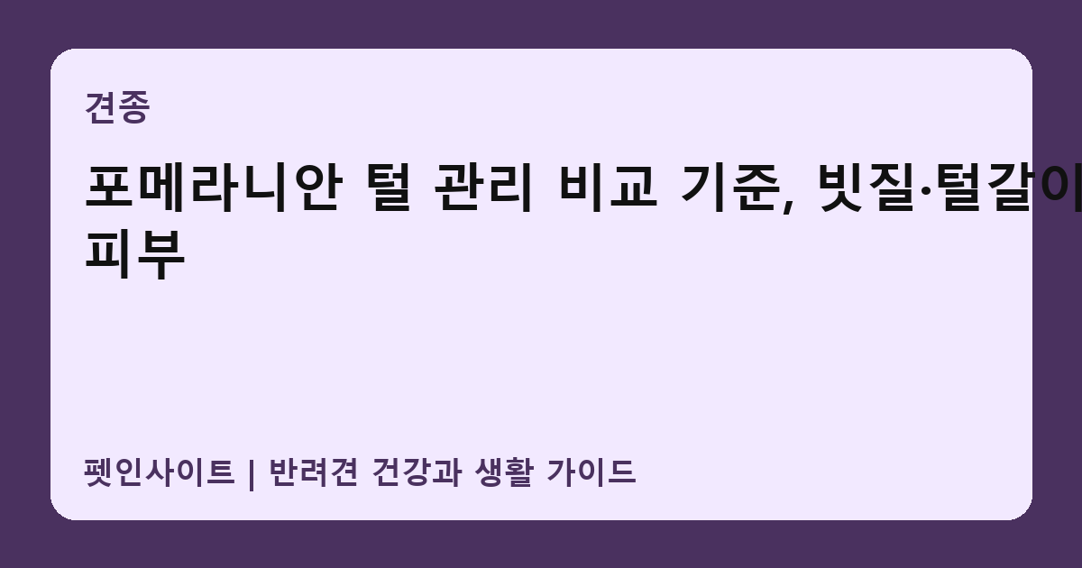 포메라니안 털 관리 비교 기준, 빗질·털갈이·피부 썸네일