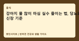 강아지 물 많이 마심 실수 줄이는 법, 당뇨와 신장 기준 썸네일