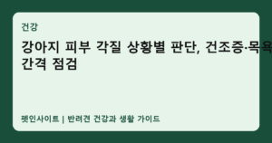 강아지 피부 각질 상황별 판단, 건조증·목욕 간격 점검 썸네일