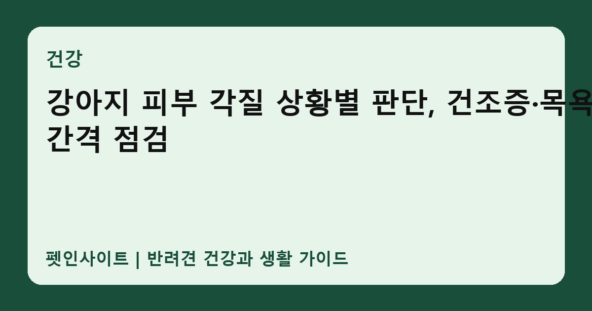 강아지 피부 각질 상황별 판단, 건조증·목욕 간격 점검 썸네일