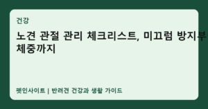노견 관절 관리 체크리스트, 미끄럼 방지부터 체중까지 썸네일