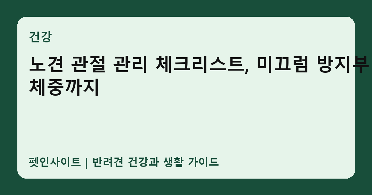 노견 관절 관리 체크리스트, 미끄럼 방지부터 체중까지 썸네일