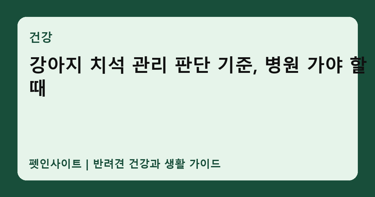 강아지 치석 관리 판단 기준, 병원 가야 할 때 썸네일