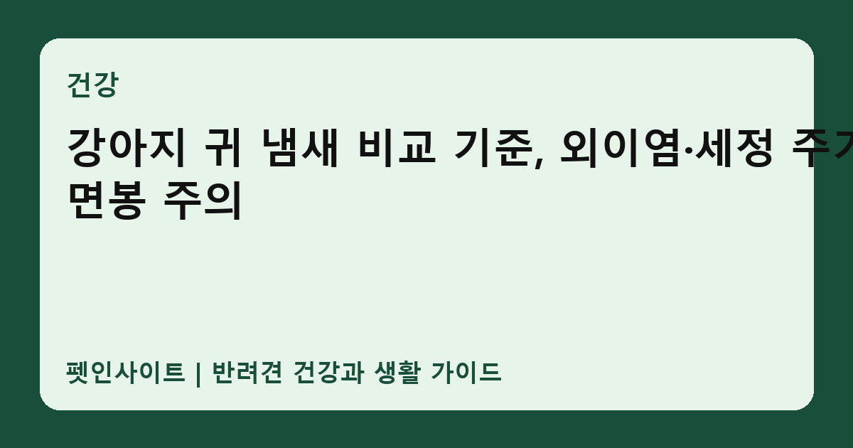 강아지 귀 냄새 비교 기준, 외이염·세정 주기·면봉 주의 썸네일
