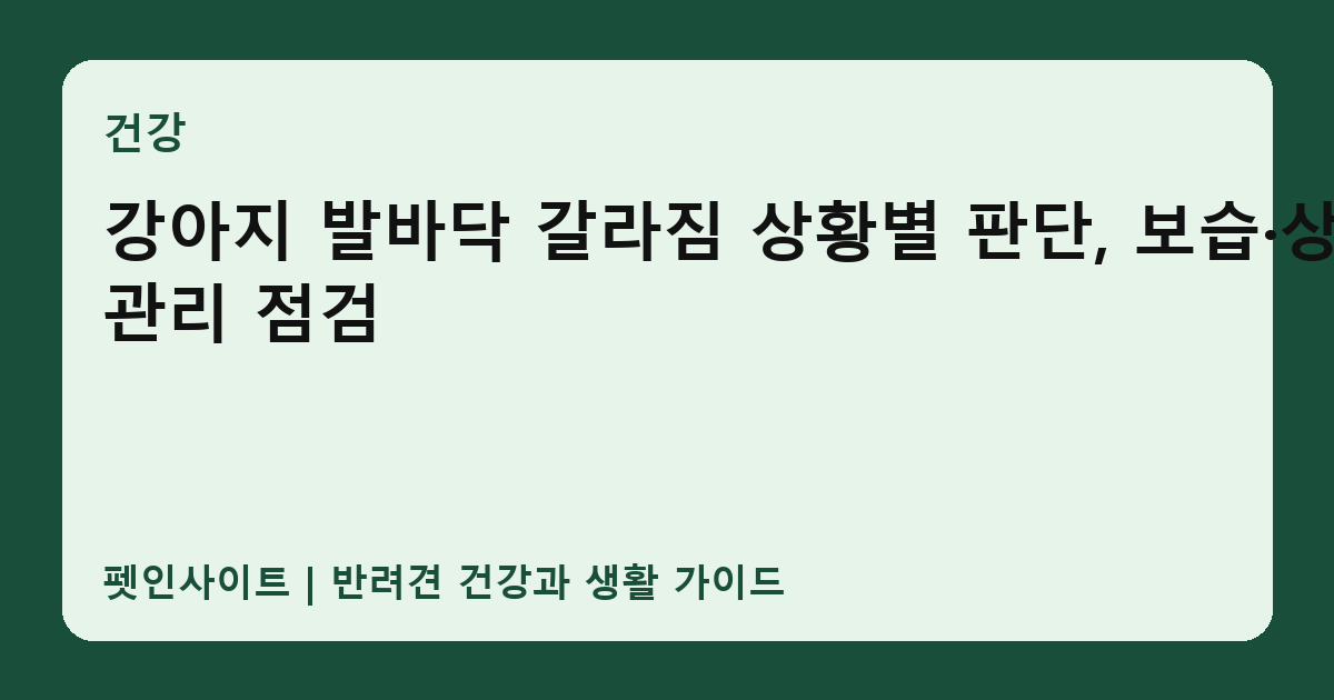 강아지 발바닥 갈라짐 상황별 판단, 보습·상처 관리 점검 썸네일