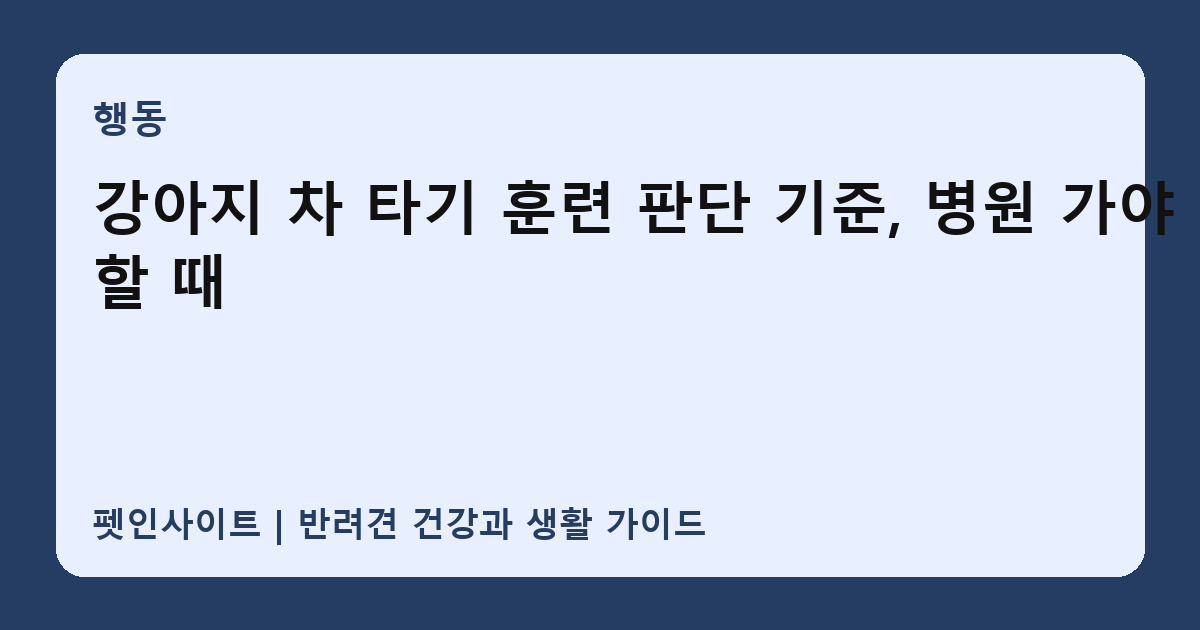 강아지 차 타기 훈련 판단 기준, 병원 가야 할 때 썸네일