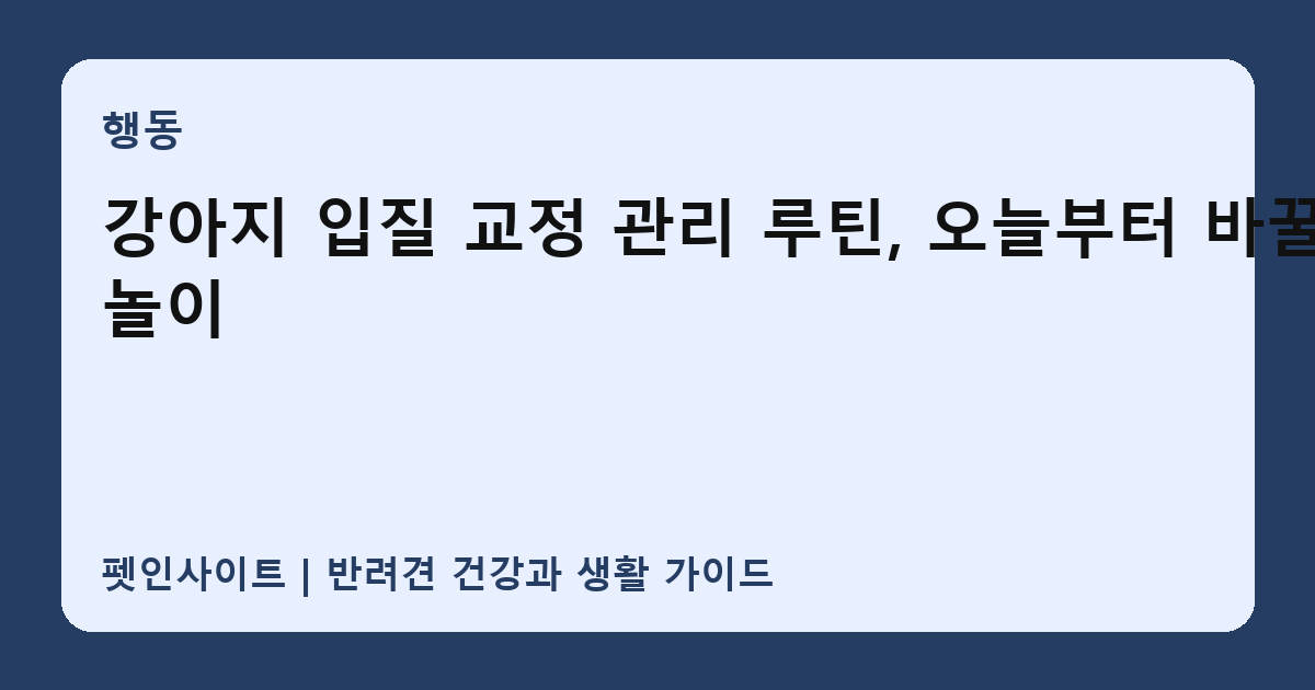 강아지 입질 교정 관리 루틴, 오늘부터 바꿀 놀이 썸네일