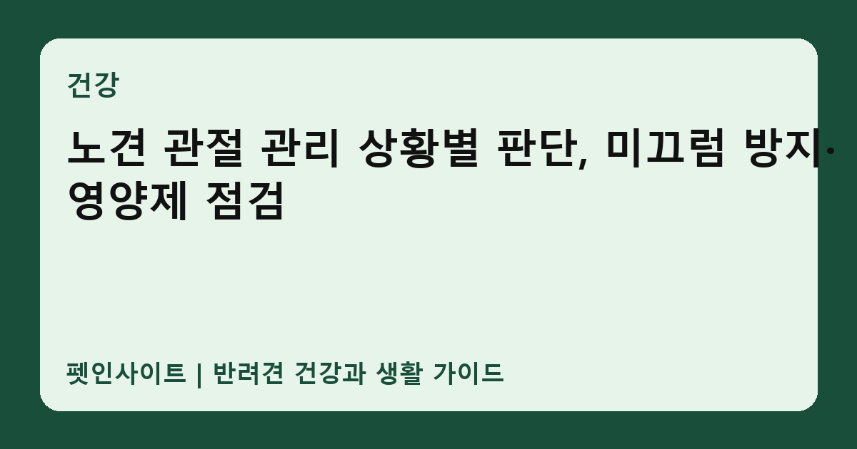 노견 관절 관리 상황별 판단, 미끄럼 방지·영양제 점검 썸네일